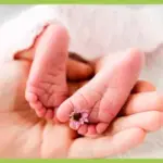 TCM bei Kinderwunsch: Für eine natürliche Empfängnis, bei ICSI und IVF oder Insemination.