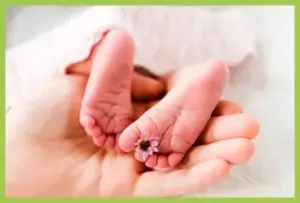 TCM bei Kinderwunsch: Für eine natürliche Empfängnis, bei ICSI und IVF oder Insemination.